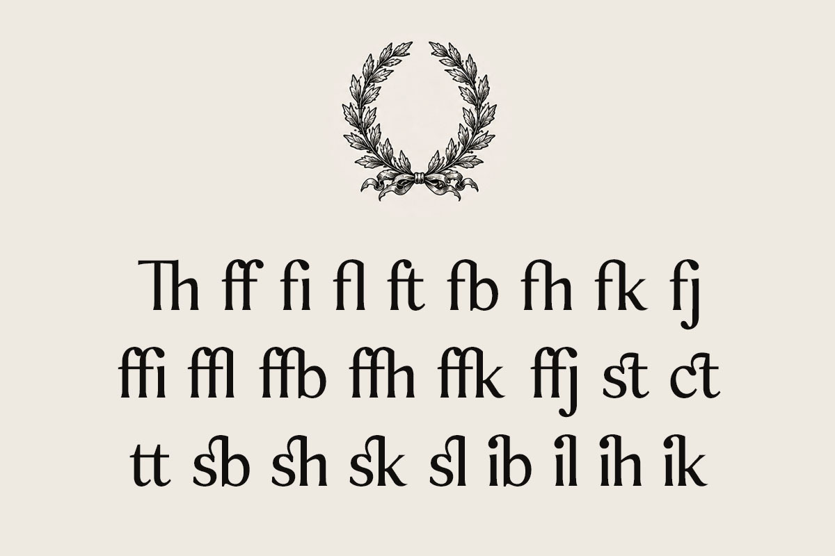 Sonne | 12 Fonts, a Serif Font by Skinny Type (Photo 6 of 11)