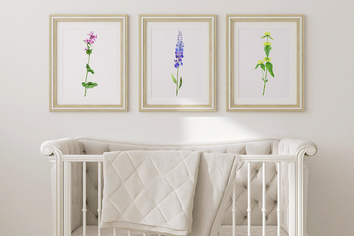 JUNE Watercolor Summer Collection, a Decorative Illustration by Kaleriia (Photo 10 of 15)