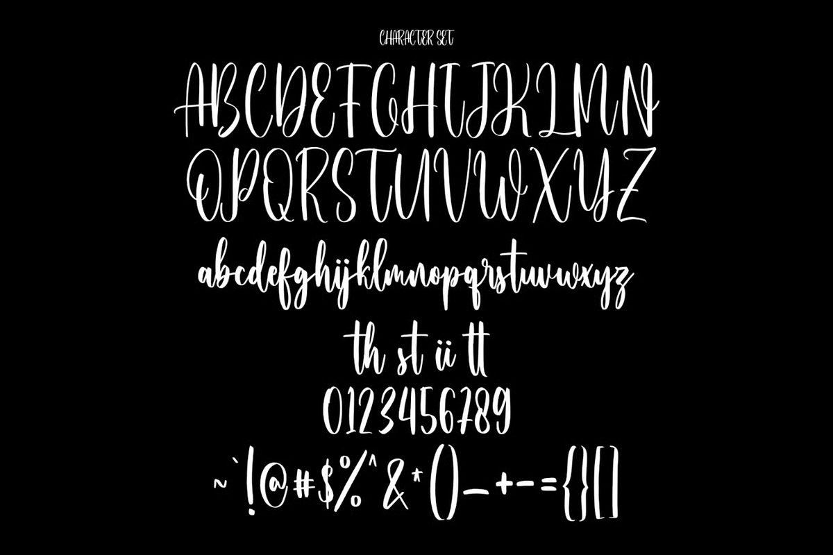 Hushpites Condensed Script Font, a Script Font by MACK 75 (Photo 8 of 8)