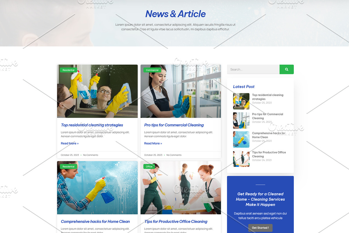 Limousine & Window Cleaning Service, a WordPress Template by HasnainDEV (Photo 5 of 6)