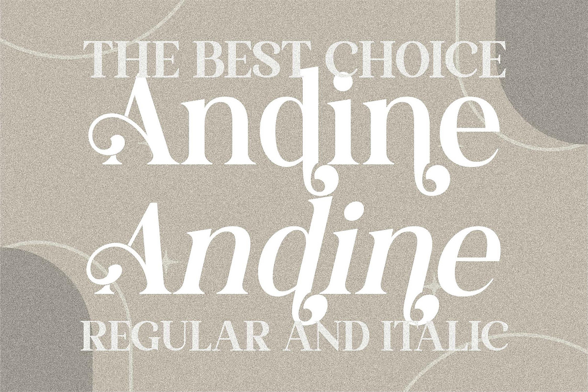 Andine Serif LS, a Script Font by GranzCreative (Photo 3 of 19)