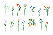 Flowers, blooming plants. Floral set, a Decorative Illustration by Good Studio (Thumbnail 2 of 5)