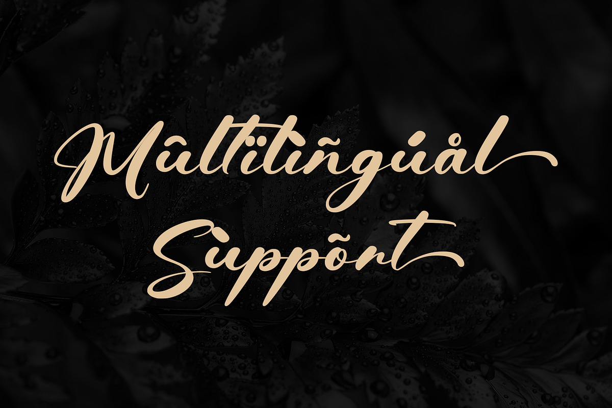 Dealyo, a Handwritten Font by Letterara (Photo 13 of 14)