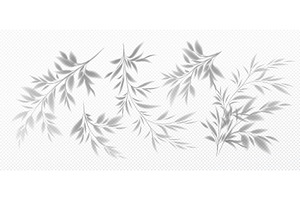 Set of Realistic transparent shadow
