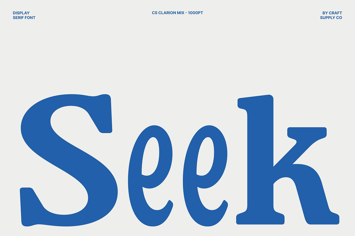 CS Clarion Mix, a Serif Font by Craft Supply Co. (Photo 2 of 8)