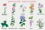 Japan native wild flowers watercolor, a Decorative Illustration by FITALARTSNEDIGI (Thumbnail 4 of 8)
