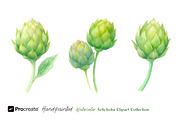 Hand-Painted Artichoke Clipart, a Decorative Illustration by crafty (Thumbnail 4 of 6)