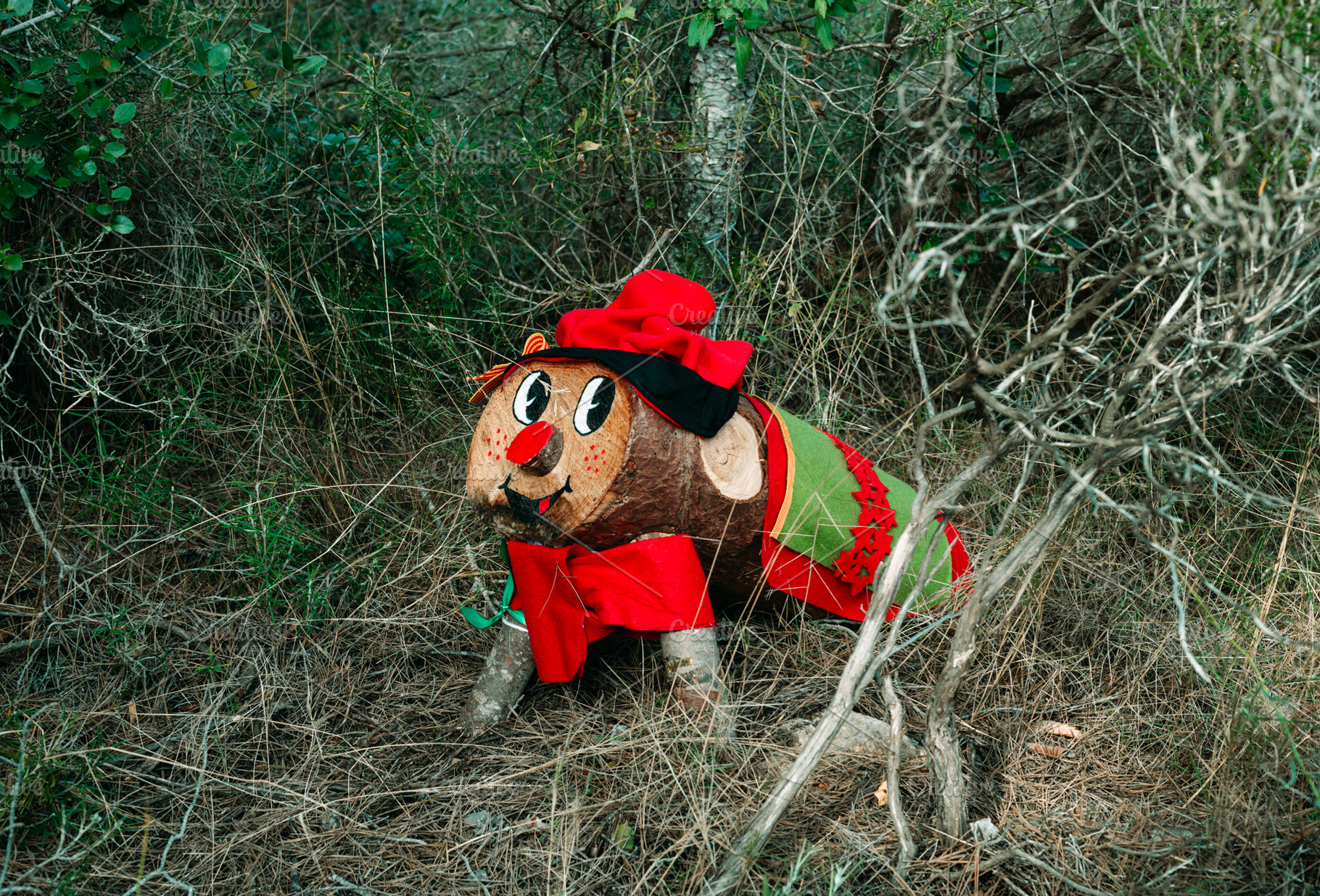 a colorful Tio de Nadal among forest branches, a Photo by Nito