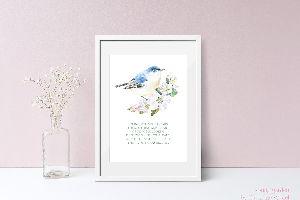 Watercolor Spring Birds Robin, an Illustration by Catherine Wheel (Photo 11 of 11)