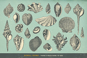 SALE! 100 Sealife Illustrations, an Animal Illustration by Anja Kaiser (Thumbnail 2 of 6)