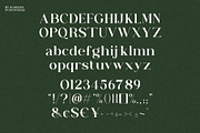 Auralux - Modern Serif Font, a Serif Font by Almeera Std (Thumbnail 4 of 5)