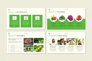 Agriculture Presentation Template, a Presentation Template by E-Type (Thumbnail 4 of 6)