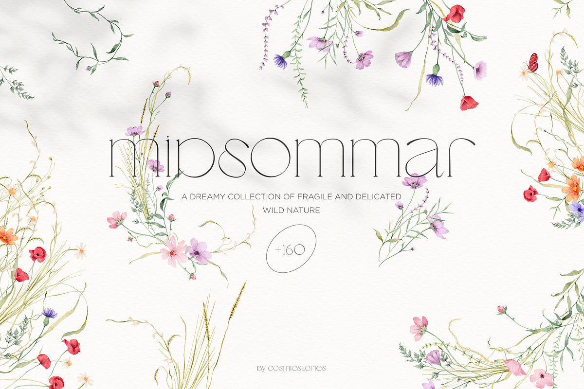 Watercolor wildflower clipart bundle, an Illustration by CarmineType (Photo 1 of 13)