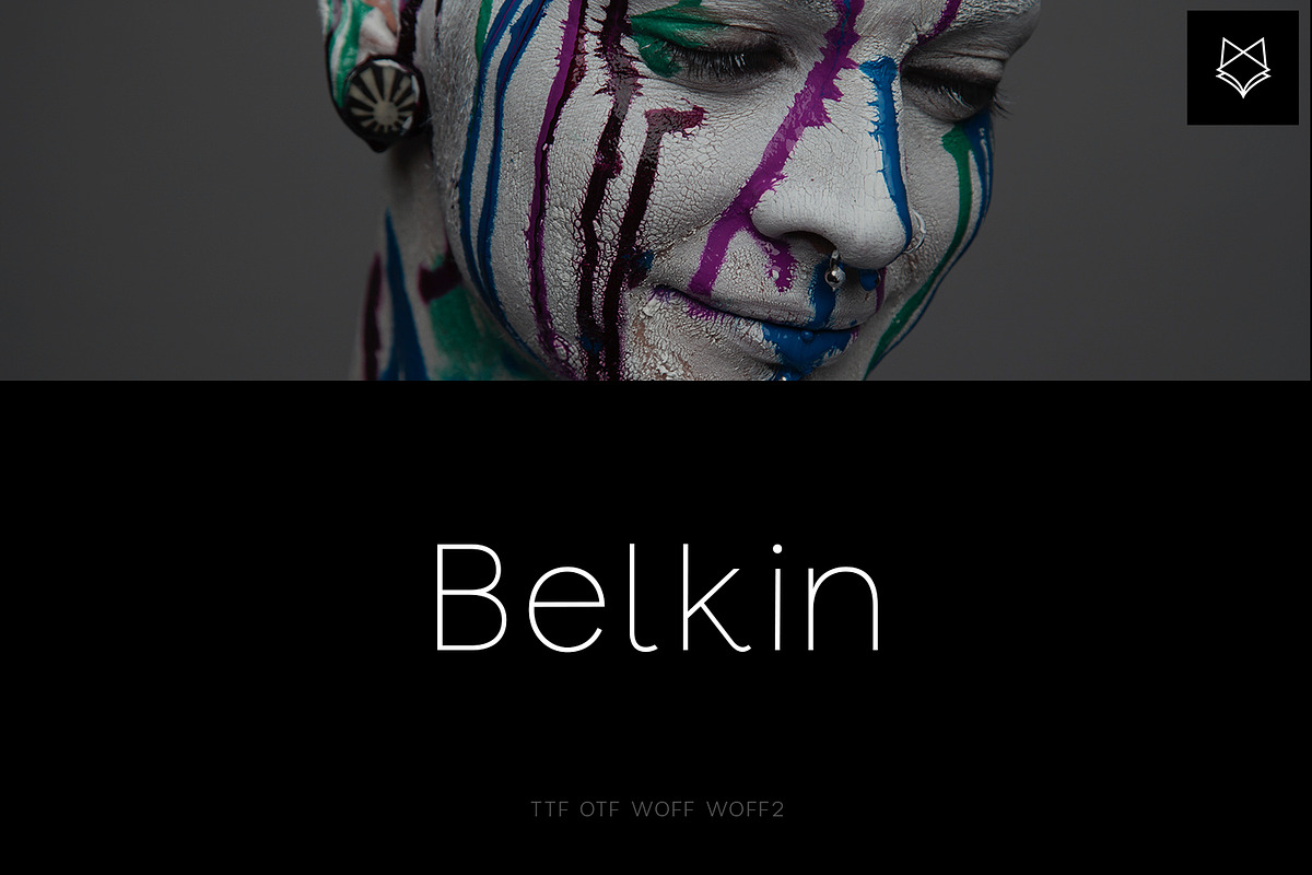 Belkin Display Typeface, a Sans Serif Font by Foxtype (Photo 1 of 5)