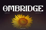 Ombridge - Slab Serif Font, a Slab Serif Font by Iqsiart Studio (Thumbnail 1 of 9)