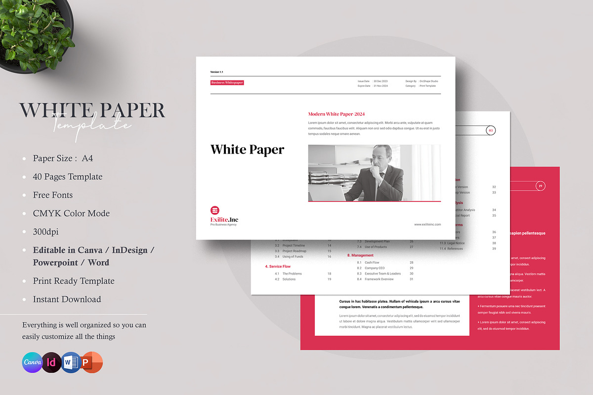 White Paper | Canva, Word, InDesign, a Brochure Template by Orcshape Studio (Photo 2 of 16)