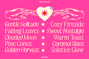 TAN-EDITION, a Sans Serif Font by TanType (Thumbnail 2 of 10)
