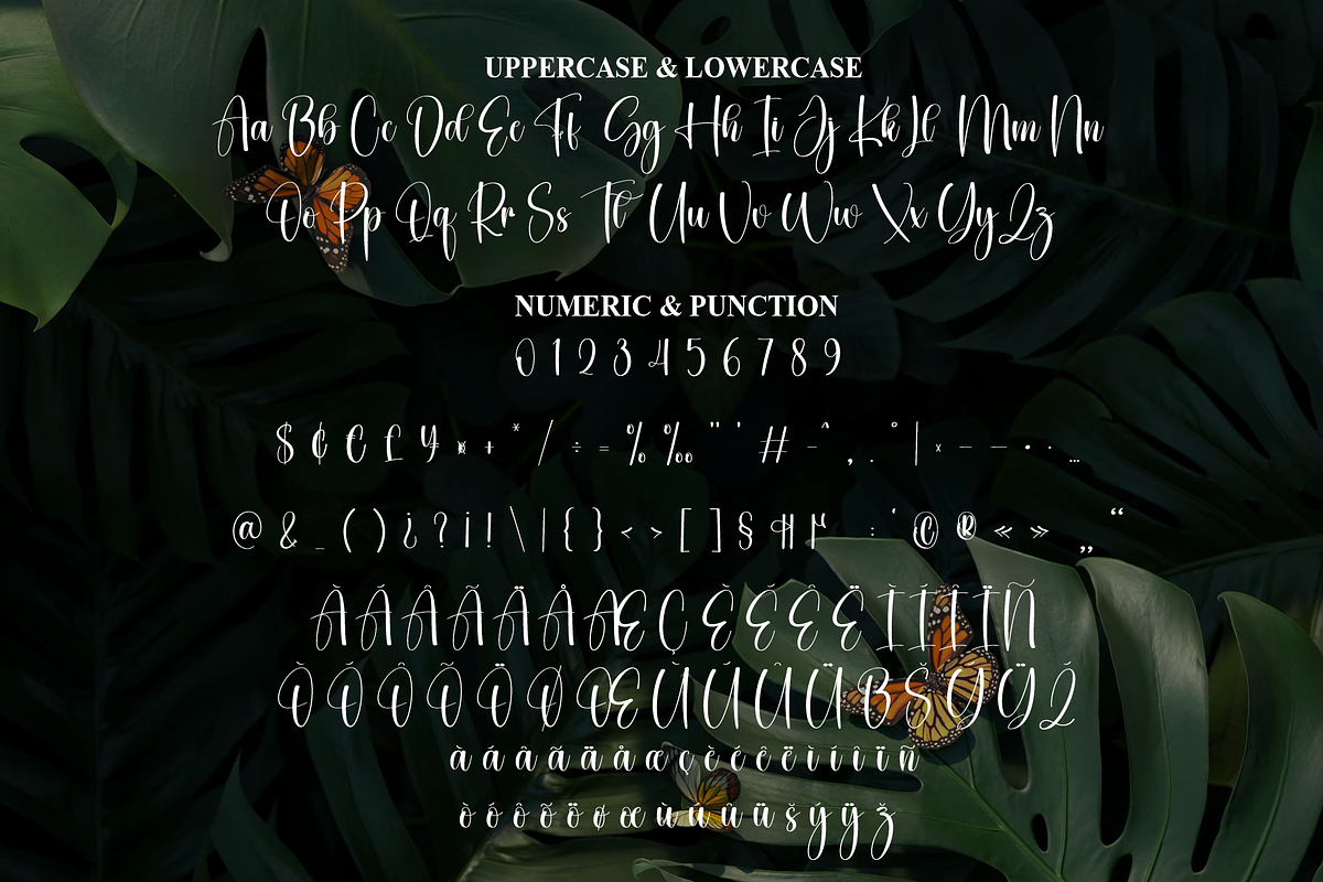 Botanical | Script Font, a Handwritten Font by Scratchones