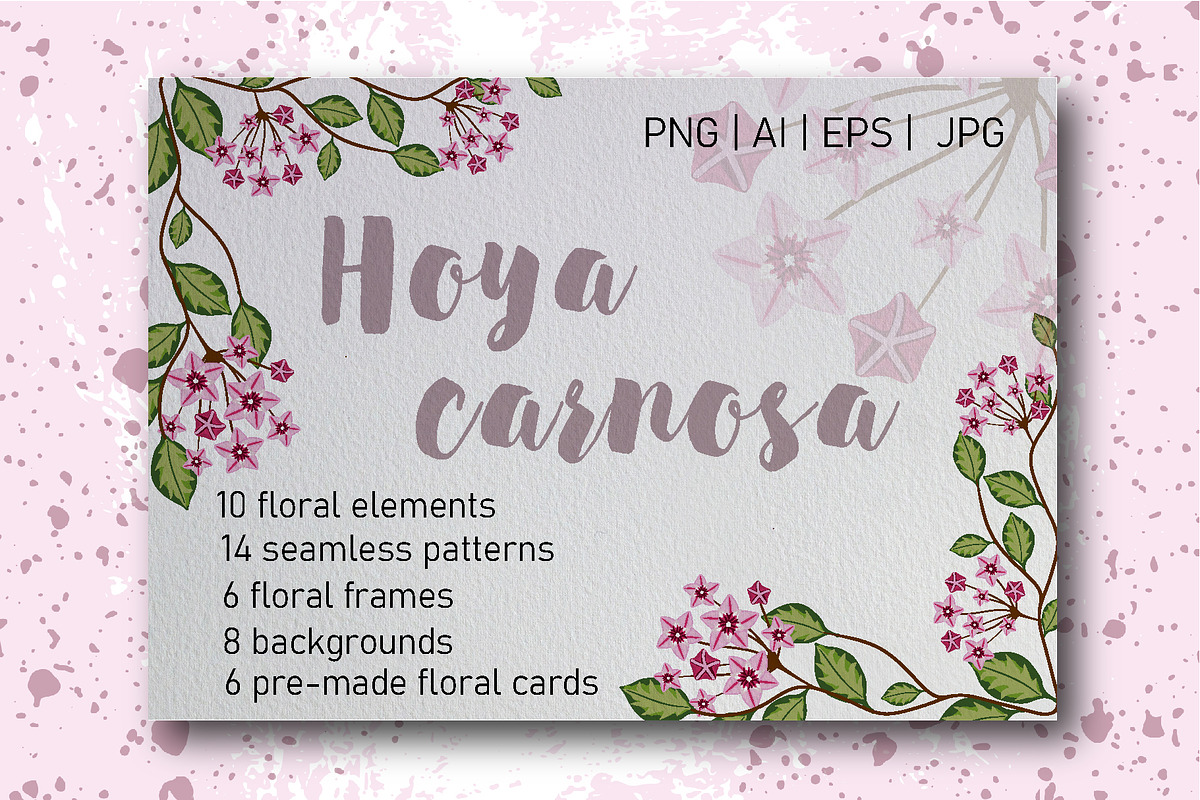 Hoya carnosa - floral collection, a Texture Illustration by LogvinArt (Photo 1 of 8)