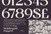 Mindken Transitional Serif Font, a Serif Font by AmorfaType (Thumbnail 5 of 10)
