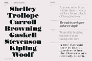 Shomina Font, a Serif Font by Cuchi, qué Tipo! Foundry (Thumbnail 6 of 21)