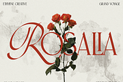 Grand Voyage, a Font by ethylene.creative (Thumbnail 11 of 13)