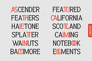Astheric – Modern Ligature Serif, a Serif Font by Variatype (Thumbnail 9 of 10)