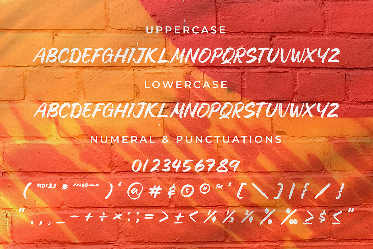 Lecuretta, a Script Font by Integritype Studio (Photo 9 of 15)
