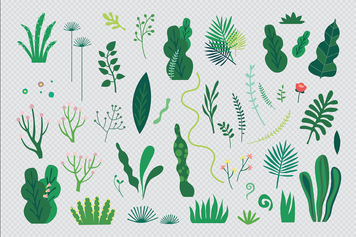 Jungle alphabet, an Illustration by Alena (Photo 5 of 11)