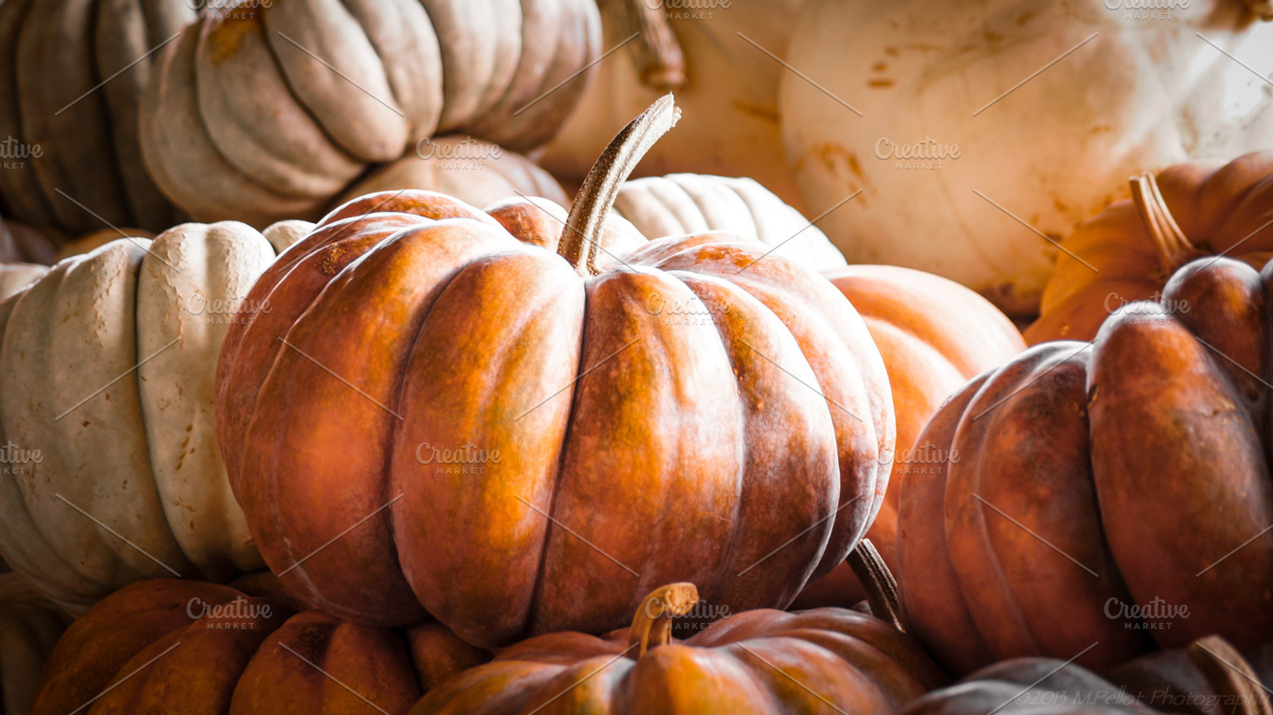 Pumpkins, Autumn, Fall, October, a Nature Photo by M.Pellot Photography