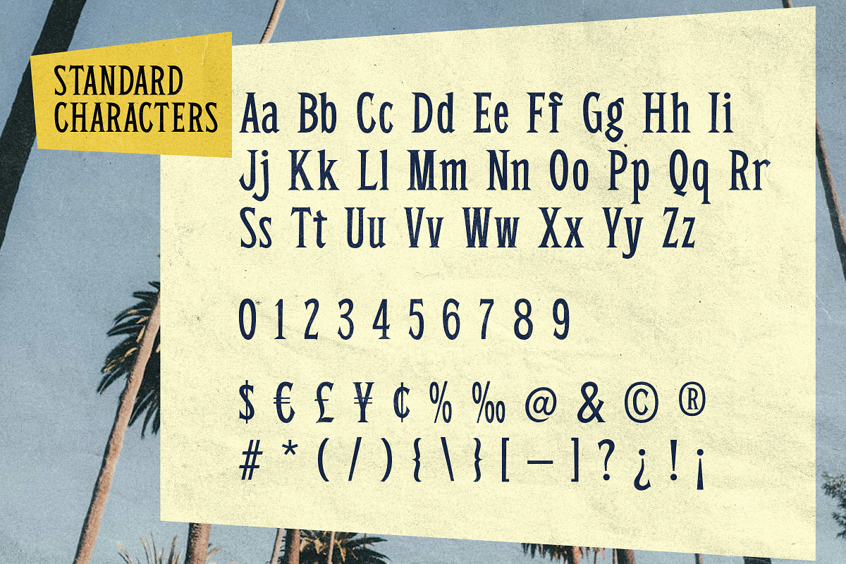 Sandero - Mid-Century Serif Font, a Serif Font by Surplus Type Co (Photo 6 of 8)