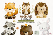 Watercolor Woodland Animals Clipart, an Animal Illustration by TitaLivingArt (Thumbnail 11 of 11)