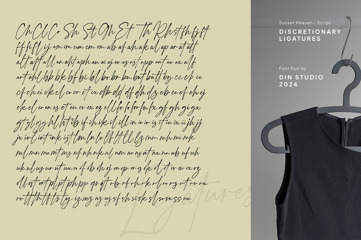 Sunset Heaven, a Serif Font by din-studio.com (Photo 5 of 15)