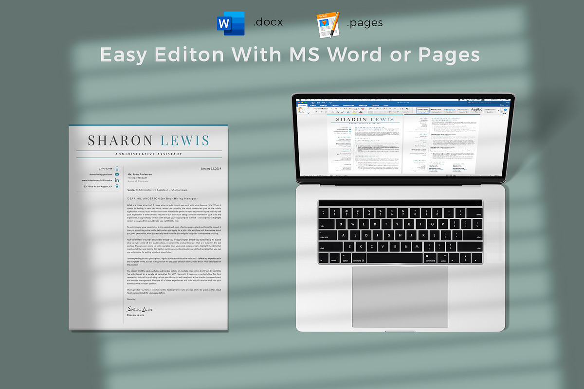 Professional Resume Format Example, a Resume Template by HIRED Design Studio (Photo 11 of 18)