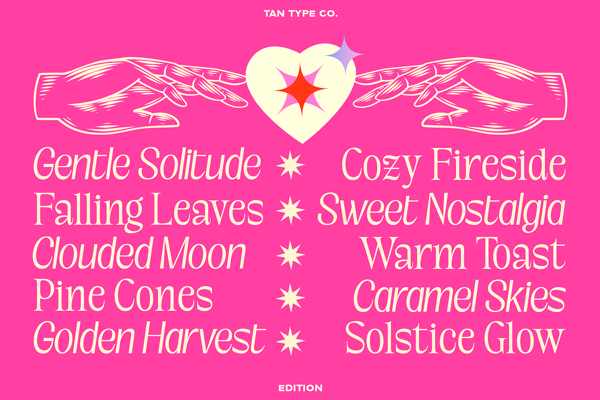 TAN-EDITION, a Sans Serif Font by TanType (Photo 2 of 10)