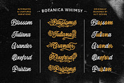 Botanica Whimsy Typeface, a Script Font by alit design (Thumbnail 14 of 20)