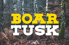 BOAR TUSK Font Family