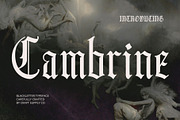 Cambrine – Blackletter Font, a Blackletter Font by Craft Supply Co. (Thumbnail 1 of 8)