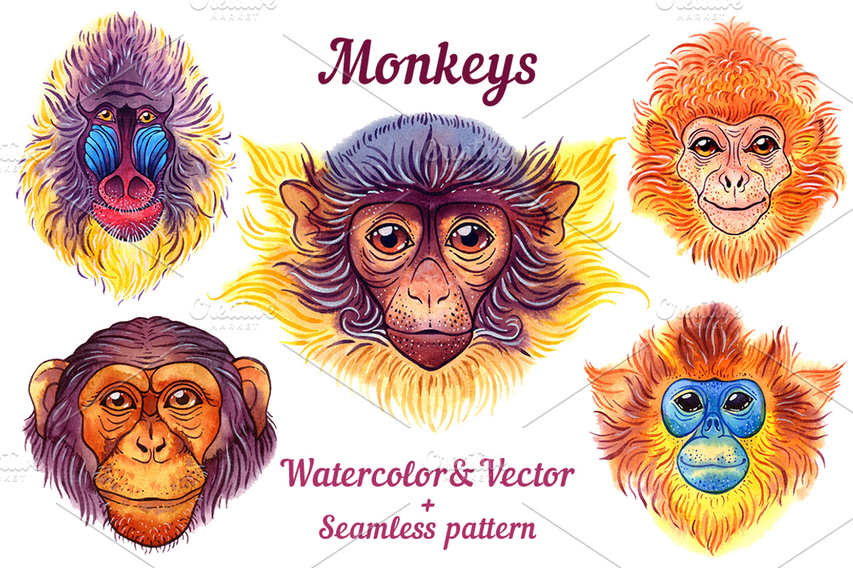 Watercolor monkeys, an Animal Illustration by Evgeniia Zagreeva (Photo 1 of 4)