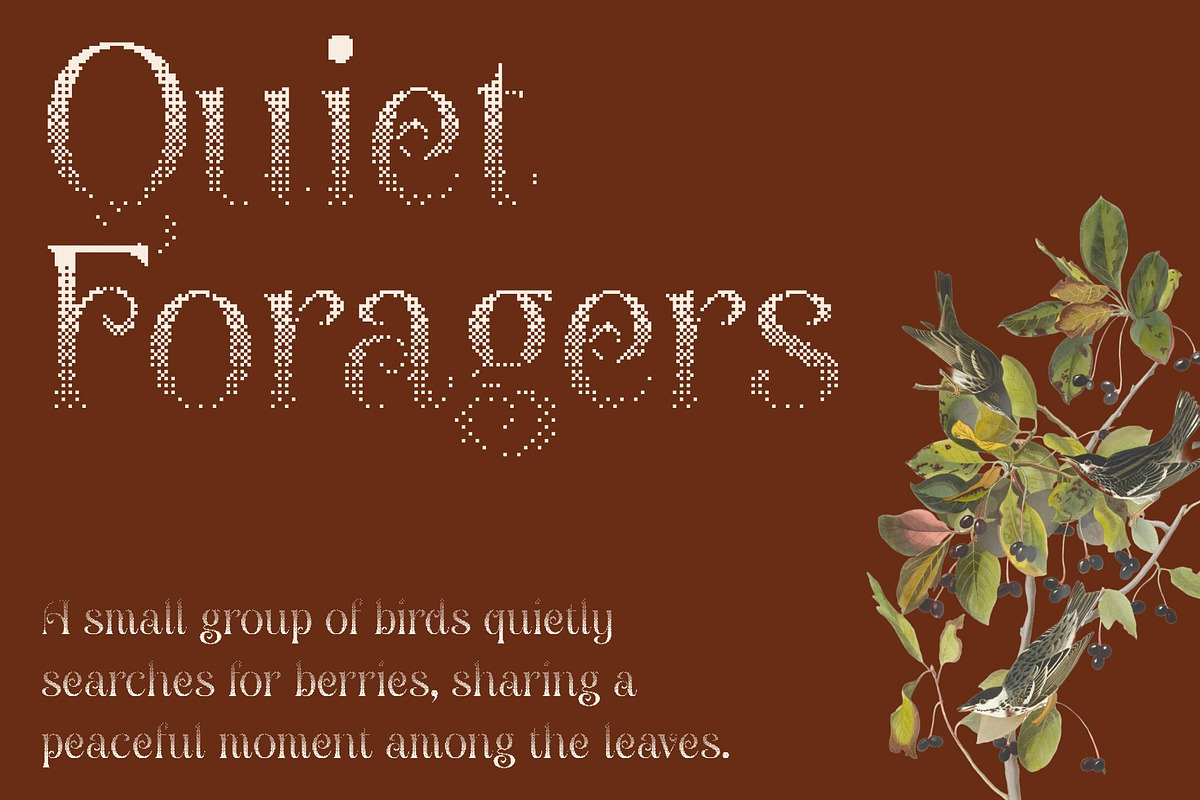 Angeris Halfpixel, a Serif Font by Craft Supply Co. (Photo 5 of 8)