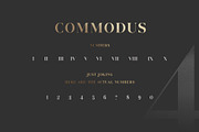 Commodus - All Caps Serif Typeface, a Serif Font by AlienValley (Thumbnail 5 of 9)