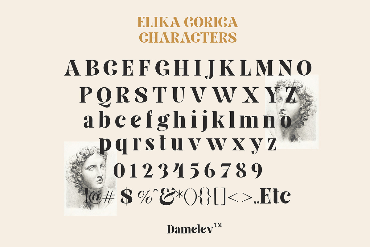 Elika Gorica, a Serif Font by Damelev (Photo 10 of 11)