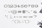 Barric A Serif Font Family, a Serif Font by Symufa (Thumbnail 3 of 7)