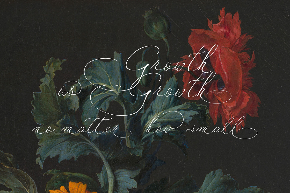 Maria Louisa Script Font, a Script Font by MLT DESIGN LAB (Photo 3 of 16)