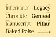 Hagios - Serif Family, a Serif Font by Novitype (Thumbnail 2 of 15)
