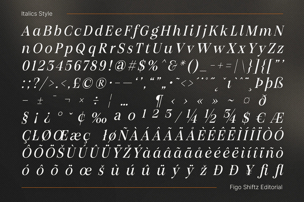 Figo Shiftz - Editorial Serif & Sans, a Serif Font by Propertype (Photo 25 of 26)