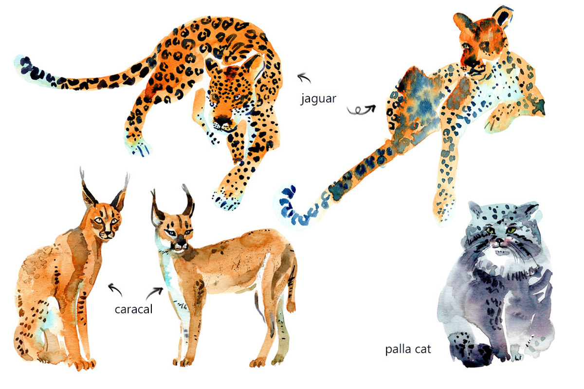 Watercolor WILD cats, an Animal Illustration by Anastasia (Photo 11 of 13)