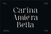 Milea Neira - Serif Vintage Ligature, a Serif Font by suhadidesign (Thumbnail 7 of 11)
