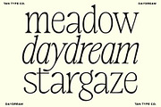 TAN-MIDSUMMER- DUO FONT, a Serif Font by TanType (Thumbnail 2 of 10)