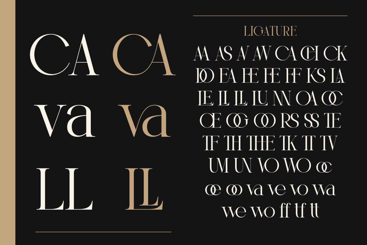 Vostela - Elegant Serif Display, a Serif Font by MaikoHatta (Photo 2 of 6)